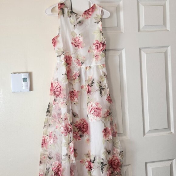 Floral Print Sheer Sleeveless Dress Brand New Women’s Fashion Outfit - Picture 5 of 12